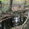 Autumn Reflections